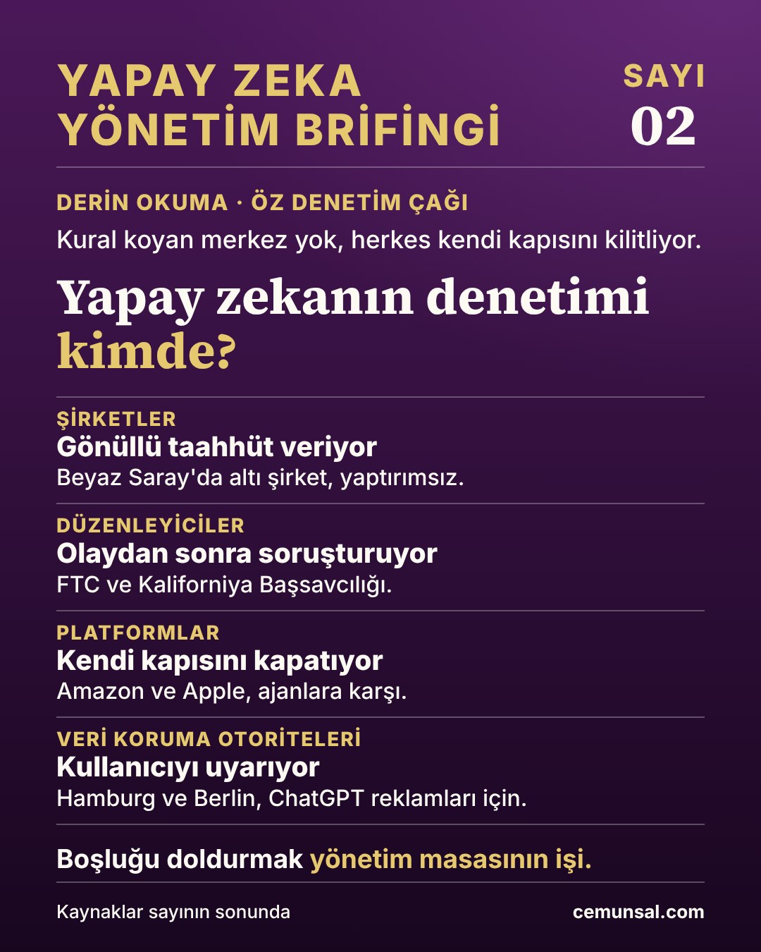 Yapay zeka denetiminin merkezde bir kural koyucu olmadan şirketler, düzenleyiciler, platformlar ve veri koruma otoriteleri arasında dağıldığını gösteren şema